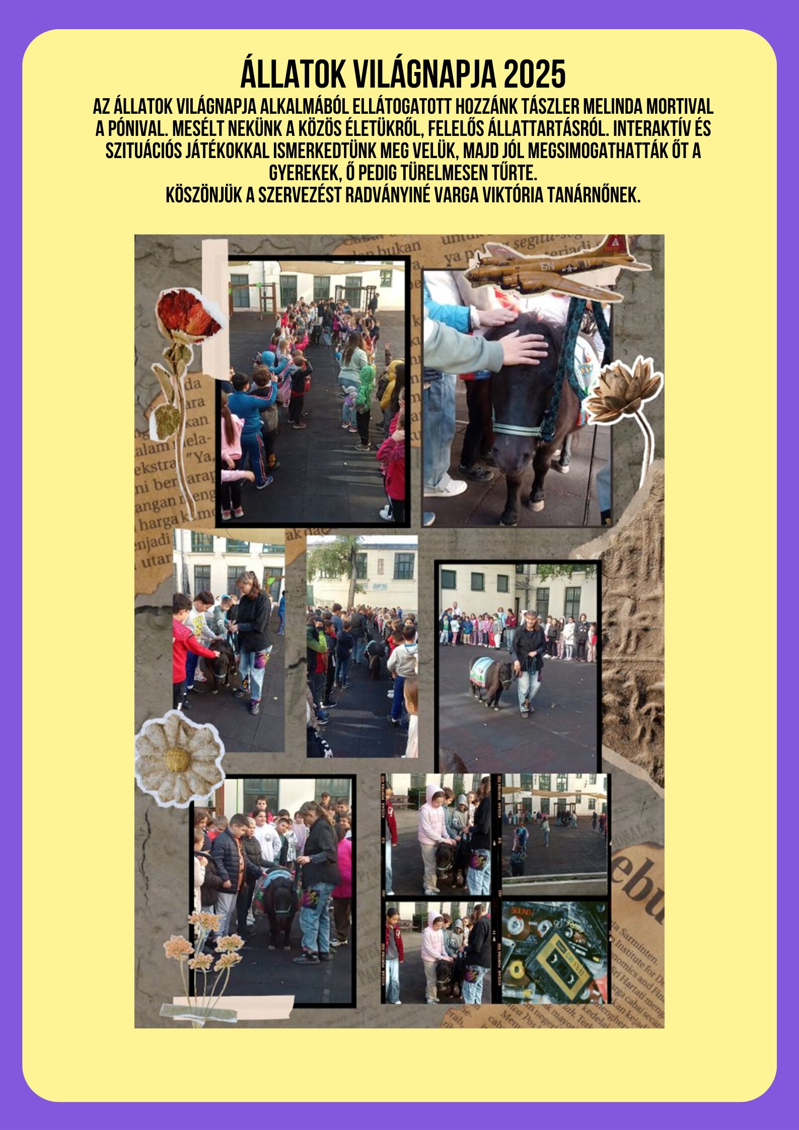 Állatok világnapja 2025